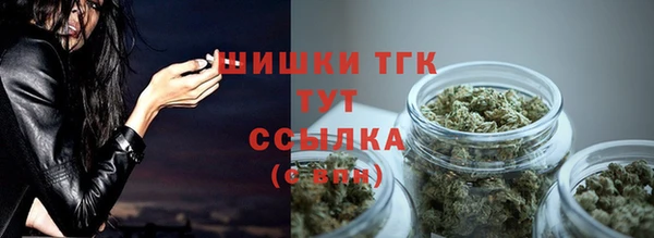 СК Арсеньев
