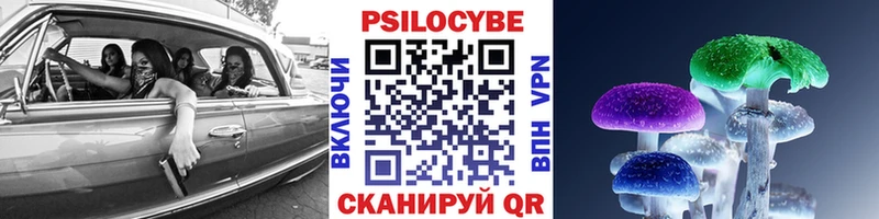 Галлюциногенные грибы Psilocybine cubensis  Юрьевец 